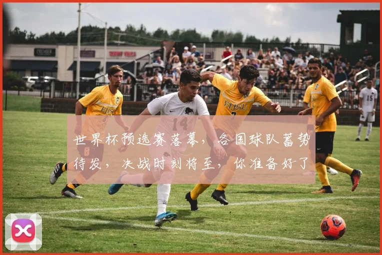 世界杯预选赛落幕，各国球队蓄势待发，决战时刻将至，你准备好了吗