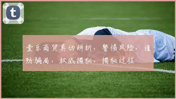 壹乐商贸真伪辨析，警惕风险，谨防骗局，权威揭秘，揭秘过程