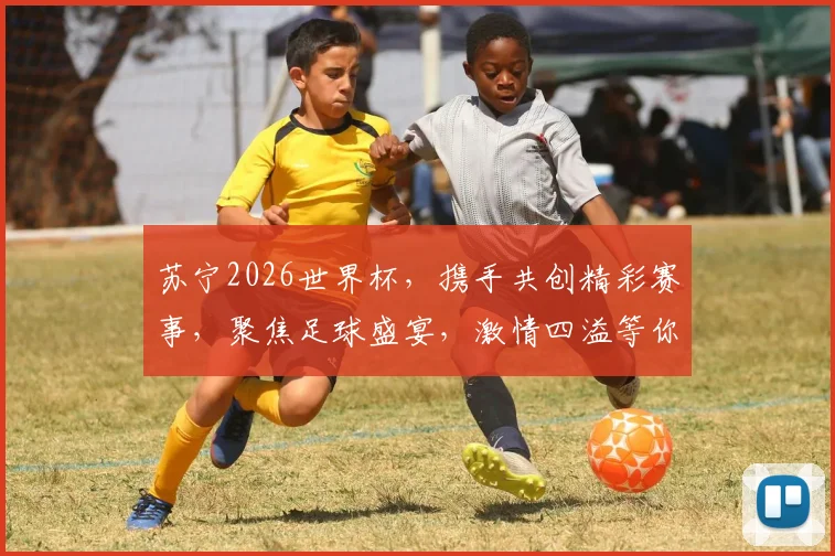 苏宁2026世界杯，携手共创精彩赛事，聚焦足球盛宴，激情四溢等你来
